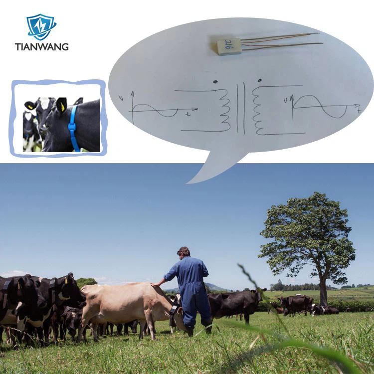 high voltage inverter for solar-powered smart Cows collars