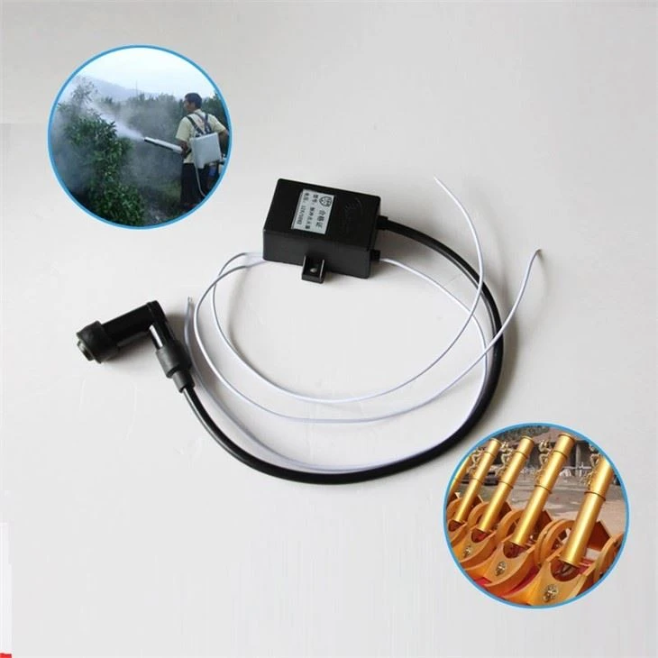 12V Electronic Pulse Igniter