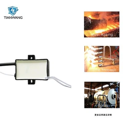 Hochzeitszünder 12V Universal Hochspannungsgenerator
